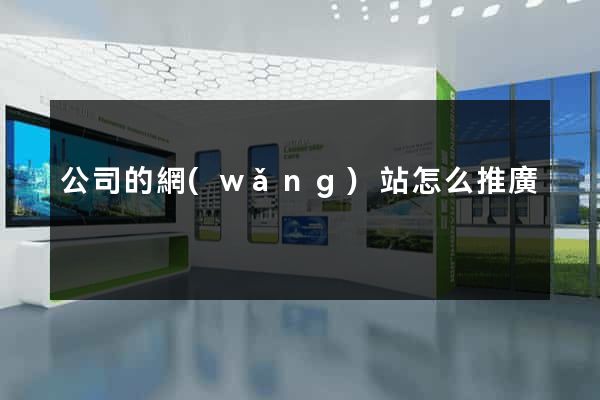 公司的網(wǎng)站怎么推廣