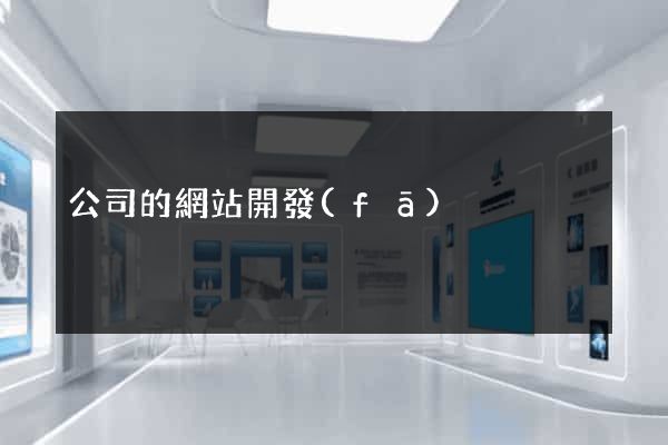 公司的網站開發(fā)