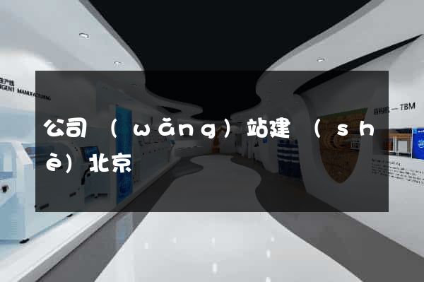 公司網(wǎng)站建設(shè)北京