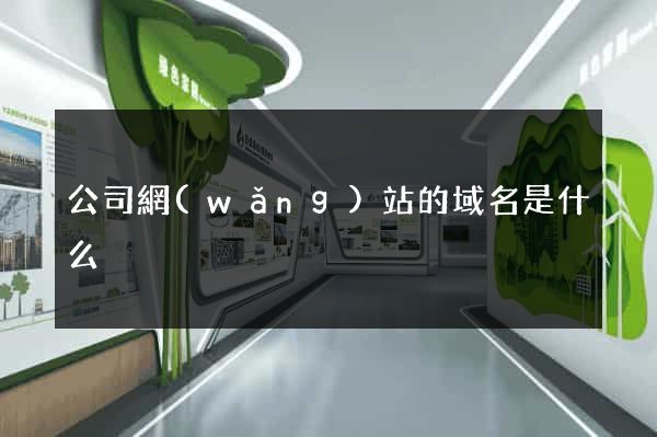 公司網(wǎng)站的域名是什么