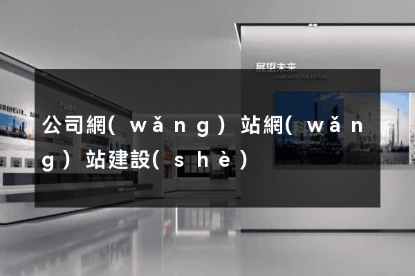 公司網(wǎng)站網(wǎng)站建設(shè)