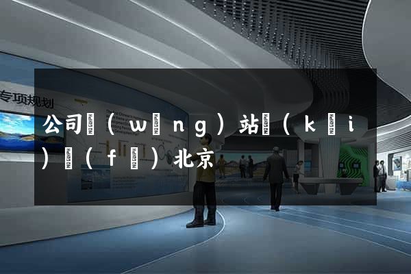 公司網(wǎng)站開(kāi)發(fā)北京