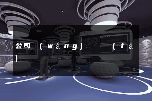 公司網(wǎng)頁開發(fā)