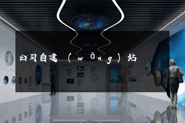 公司自建網(wǎng)站