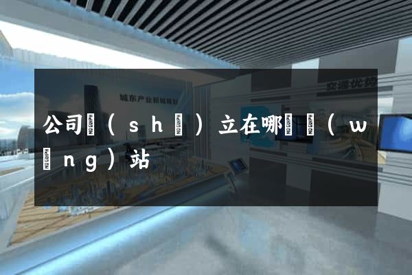 公司設(shè)立在哪個網(wǎng)站