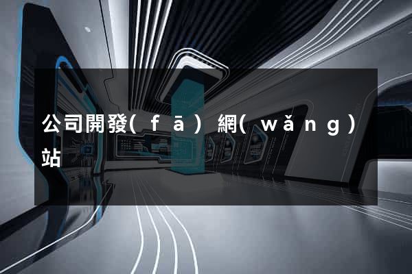 公司開發(fā)網(wǎng)站