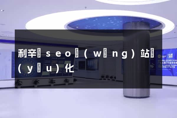 利辛縣seo網(wǎng)站優(yōu)化
