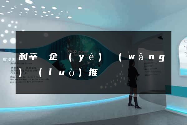 利辛縣企業(yè)網(wǎng)絡(luò)推廣