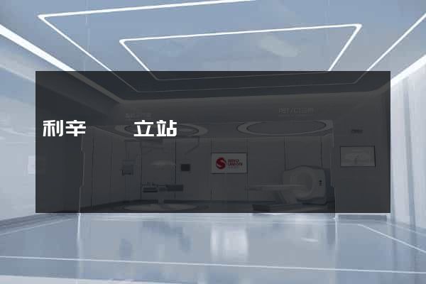 利辛縣獨立站運營