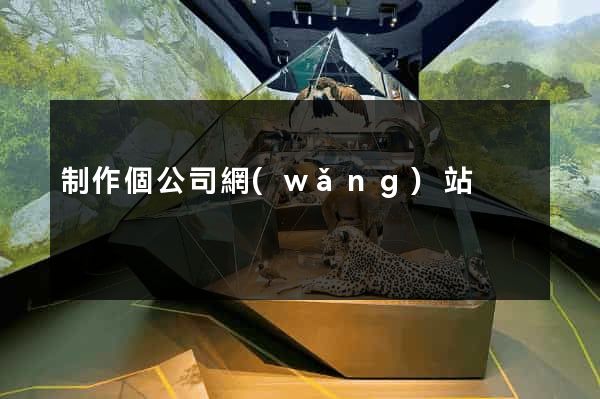 制作個公司網(wǎng)站