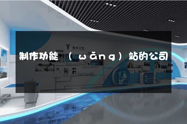 制作功能網(wǎng)站的公司