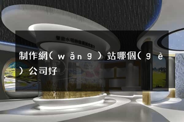 制作網(wǎng)站哪個(gè)公司好