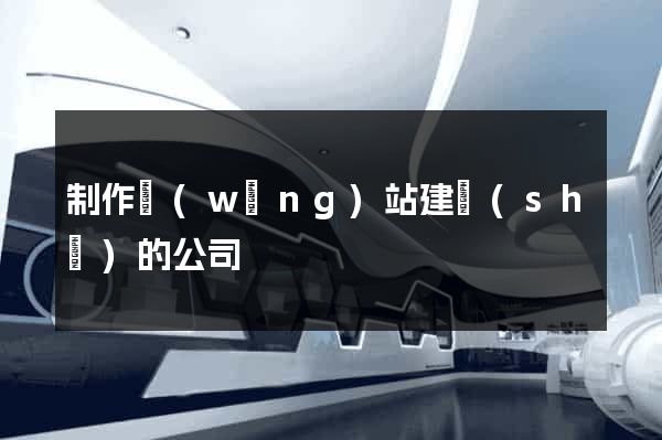 制作網(wǎng)站建設(shè)的公司