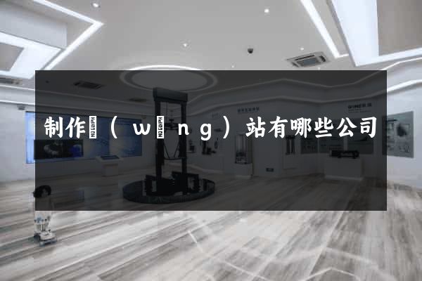 制作網(wǎng)站有哪些公司
