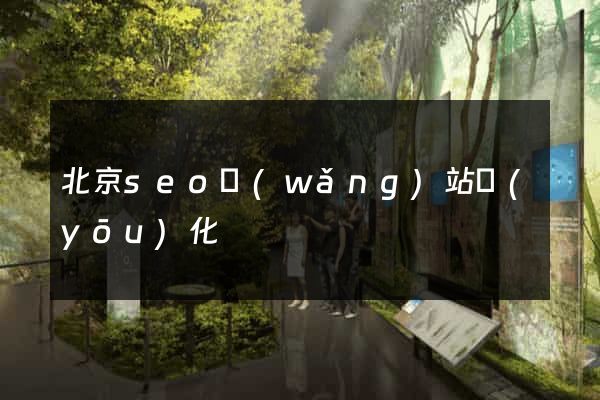 北京seo網(wǎng)站優(yōu)化
