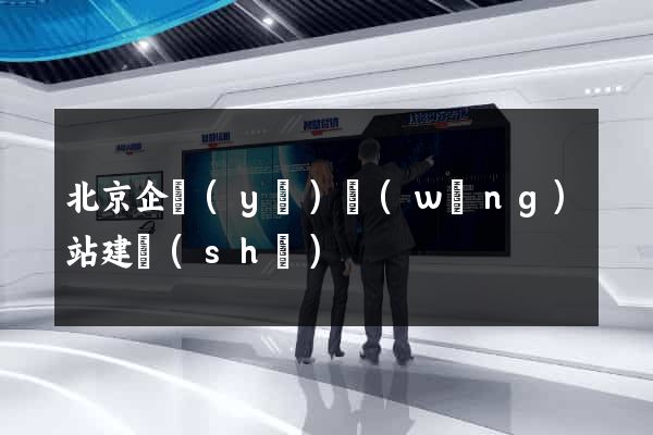 北京企業(yè)網(wǎng)站建設(shè)