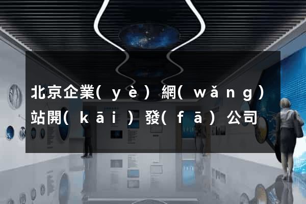北京企業(yè)網(wǎng)站開(kāi)發(fā)公司