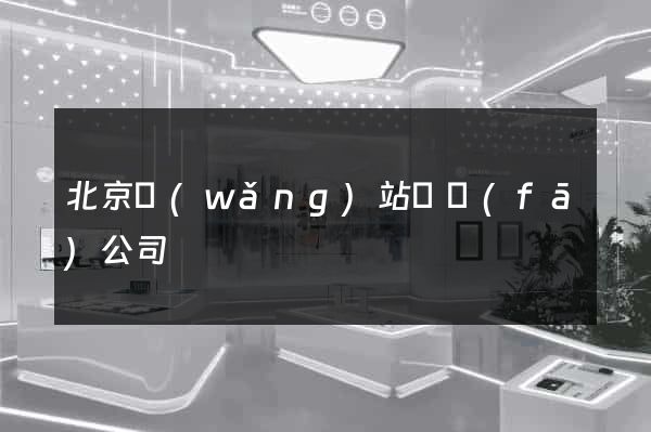 北京網(wǎng)站開發(fā)公司