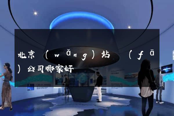 北京網(wǎng)站開發(fā)公司哪家好