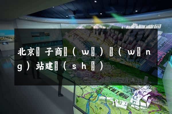 北京電子商務(wù)網(wǎng)站建設(shè)