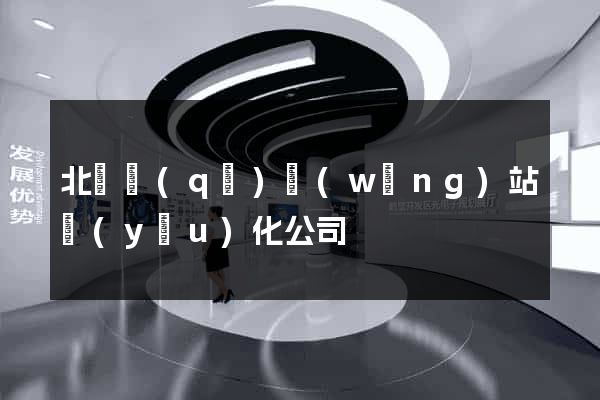 北侖區(qū)網(wǎng)站優(yōu)化公司
