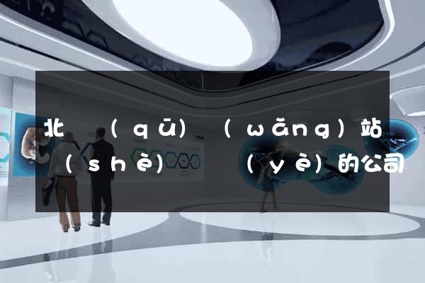 北侖區(qū)網(wǎng)站設(shè)計專業(yè)的公司