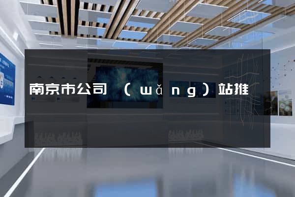 南京市公司網(wǎng)站推廣