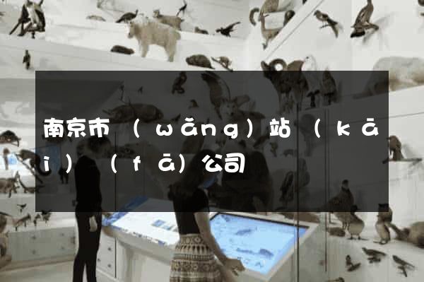 南京市網(wǎng)站開(kāi)發(fā)公司