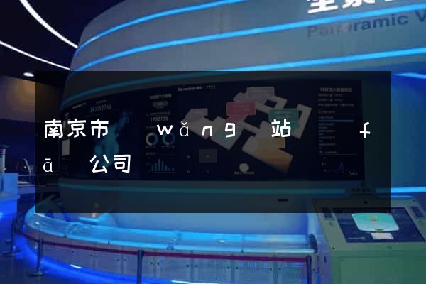 南京市網(wǎng)站開發(fā)公司