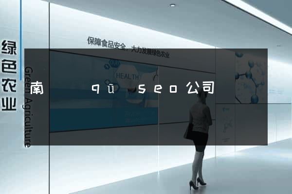 南匯區(qū)seo公司