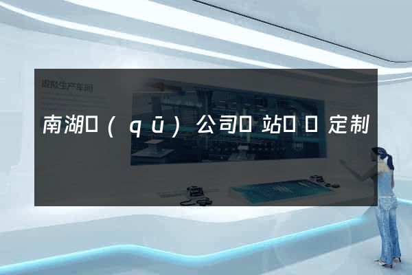 南湖區(qū)公司網站設計定制