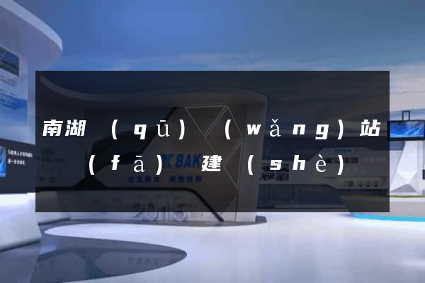 南湖區(qū)網(wǎng)站開發(fā)與建設(shè)