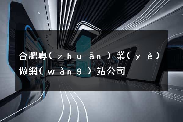 合肥專(zhuān)業(yè)做網(wǎng)站公司