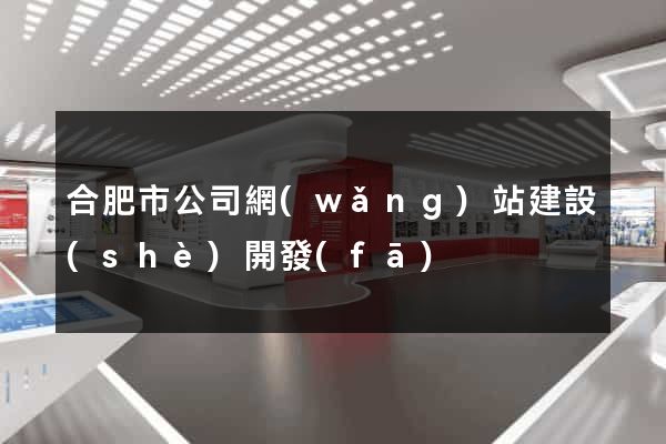 合肥市公司網(wǎng)站建設(shè)開發(fā)
