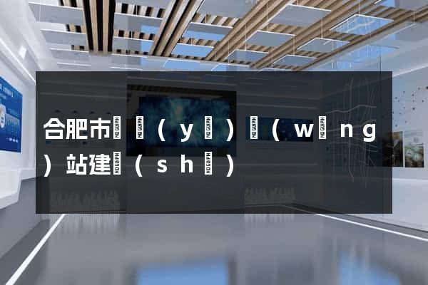 合肥市專業(yè)網(wǎng)站建設(shè)