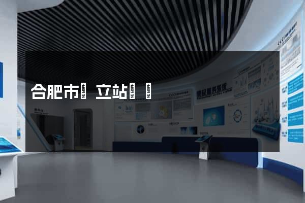 合肥市獨立站運營
