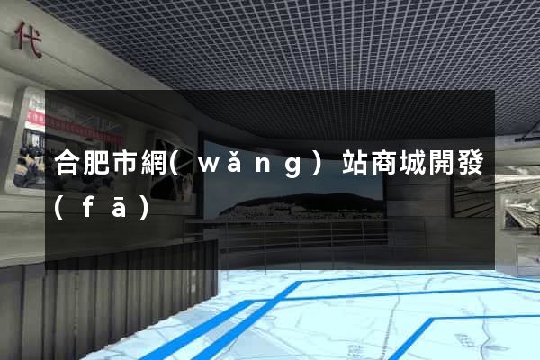合肥市網(wǎng)站商城開發(fā)