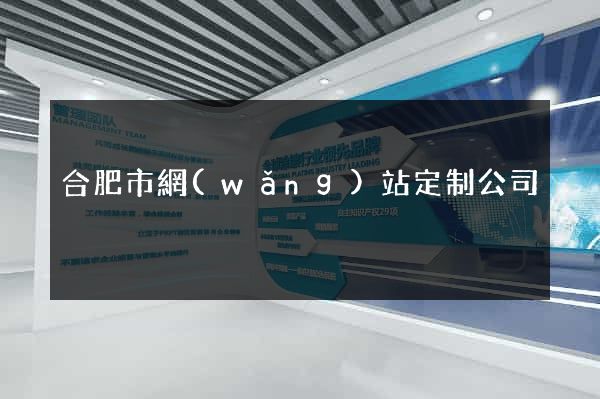 合肥市網(wǎng)站定制公司