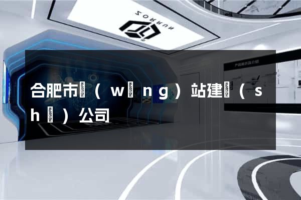 合肥市網(wǎng)站建設(shè)公司
