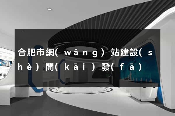 合肥市網(wǎng)站建設(shè)開(kāi)發(fā)