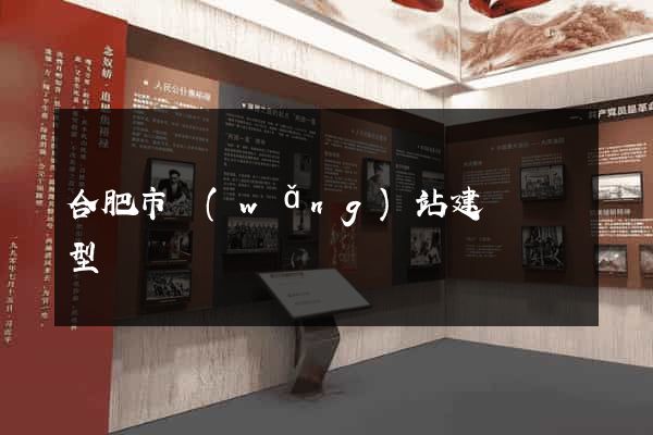 合肥市網(wǎng)站建設營銷型