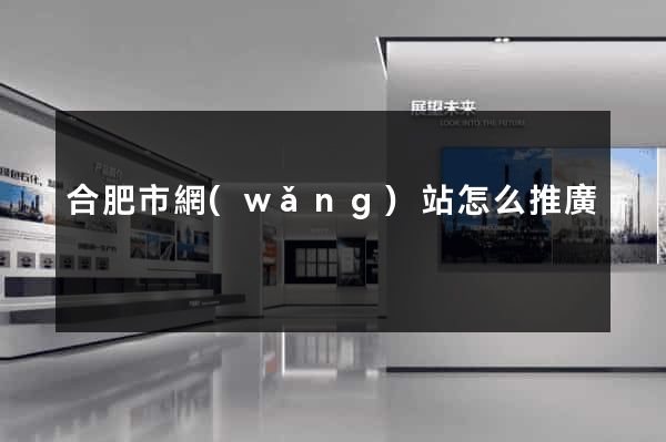 合肥市網(wǎng)站怎么推廣
