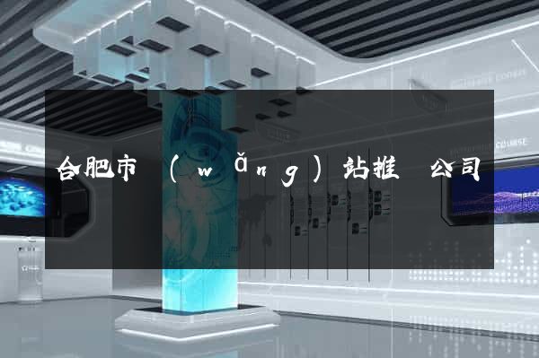 合肥市網(wǎng)站推廣公司