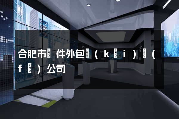 合肥市軟件外包開(kāi)發(fā)公司