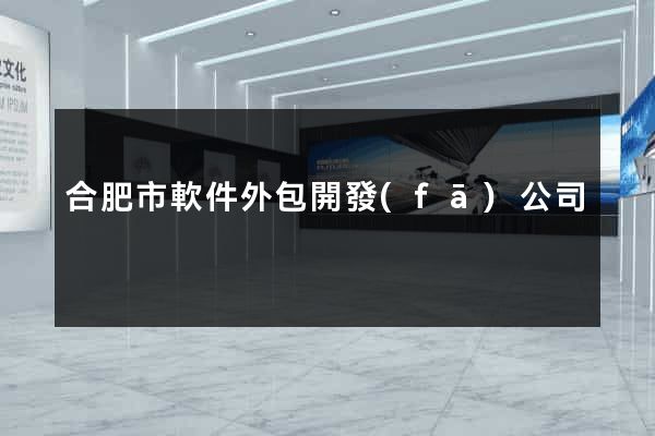 合肥市軟件外包開發(fā)公司