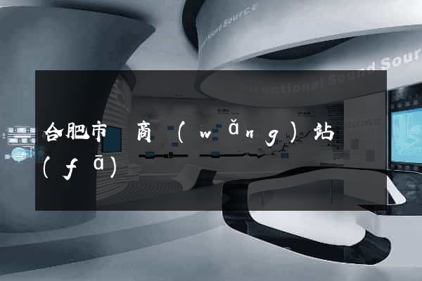 合肥市電商網(wǎng)站開發(fā)