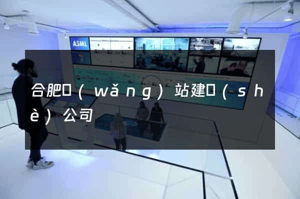 合肥網(wǎng)站建設(shè)公司