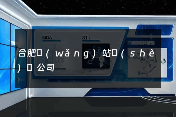合肥網(wǎng)站設(shè)計公司