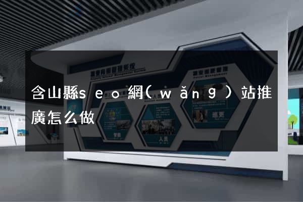 含山縣seo網(wǎng)站推廣怎么做