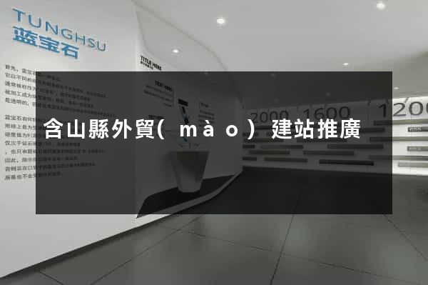 含山縣外貿(mào)建站推廣